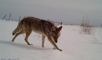 Tbd Stagecoach Spur W 935-3, Belfry, MT 59008