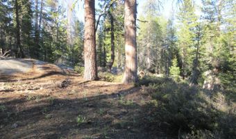 175 Silver Tip Dr, Bear Valley, CA 95223