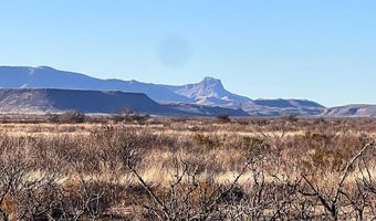 ERR State Hwy 118 S, Alpine, TX 79830