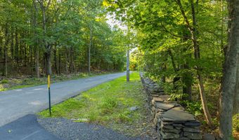 596 Joseph Chadderdon Rd, Acra, NY 12405