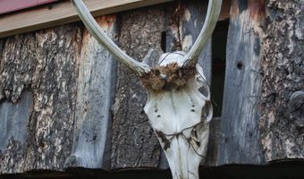 73 Arellano Rd, Amalia, NM 87512