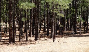 8 B County Road 2267 Escudilla Rd, Alpine, AZ 85920