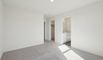 10644 Harlequinn Plan: Eclipse, Adkins, TX 78101