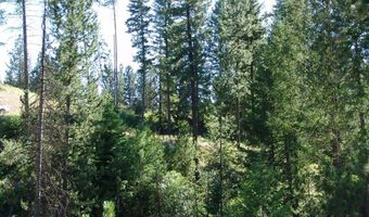 L1 B2 San Ignacio Way lot 1, Cascade, ID 83611