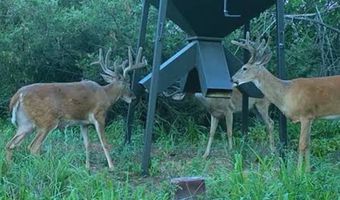 1299 E US HWY 160, Argonia, KS 67004