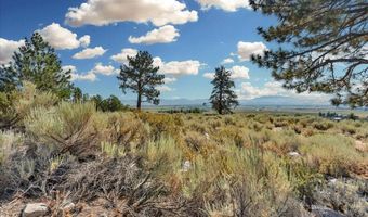 1211 Quail Ridge Rd, Gardnerville, NV 89460