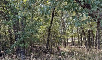 110 Pringle Ct, Alvord, TX 76225