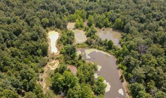 153 Private Road 204-184, Alton, MO 65606