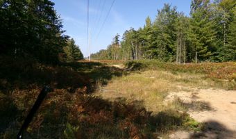 V/L 30AC Lake Winyah Road, Alpena, MI 49707