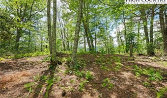 Lot 41 White Fox Lane, Banner Elk, NC 28604