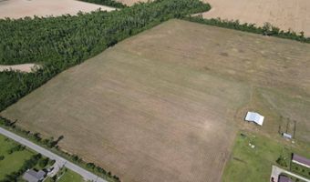 Hanna Tower Rd, Altha, FL 32421