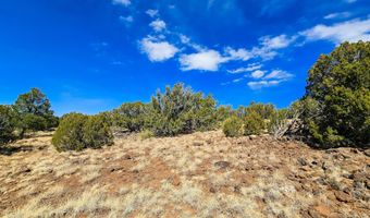 Show Low Pines Unit 3 lot 468, Concho, AZ 85924
