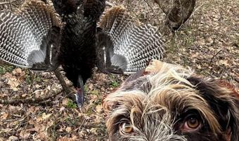 Pleasant Hill Road, Ashland, MS 38603
