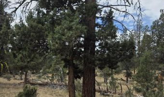 8314 Bly Mountain Cutoff Rd, Bonanza, OR 97623