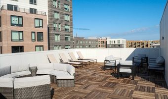 38 Hichborn 204, Boston, MA 02135
