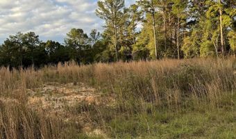 Lot 32 Meadow Lane Rd, Andalusia, AL 36421