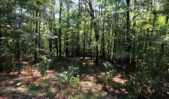 000 Sorrell Rd, Benton, AR 72015