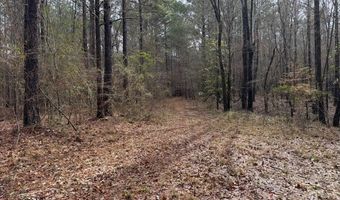 920 A Auburn Dr, Bogue Chitto, MS 39629