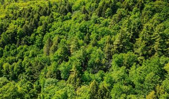 Camp Brook Road lot Map 30 Lot 67A, Alstead, NH 03602