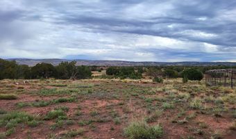 40 County Road 5309, Concho, AZ 85924