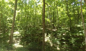 6608 Sand Valley Rd, Attalla, AL 35954