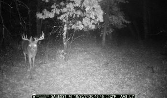 2423 9th Dr, Adams, WI 53910