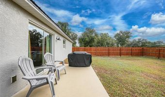 2973 NE BROWNVILLE St, Arcadia, FL 34266