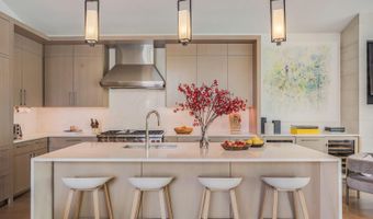 100 Park Ave, Aspen, CO 81611