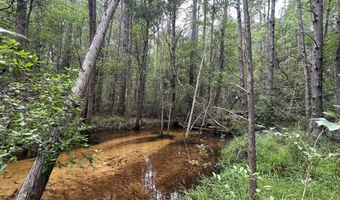 8 5+/- Ac Keyser Mill Rd, Baker, FL 32531