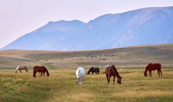 Sheep Mountain Road, Centennial, WY 82055
