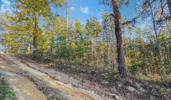 Lot 10 Dry Meadow Dr, Adams, KY 41201