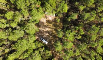 0 5TH St, Altoona, FL 32702