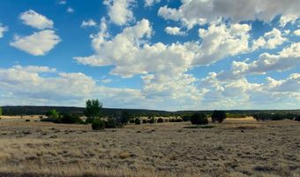 1 County Road 5088, Concho, AZ 85924