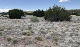 Lot 393 Country Lane, Concho, AZ 85924