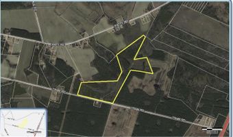 452 Tram Rd, Cades, SC 29518