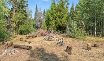 3 FOREST Trl, Boulder, WY 82923
