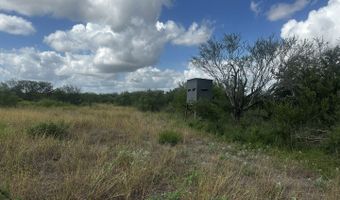 County Road 119, Alice, TX 78332