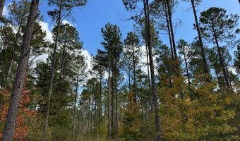 02 Seneca St Ext, Calhoun Falls, SC 29628