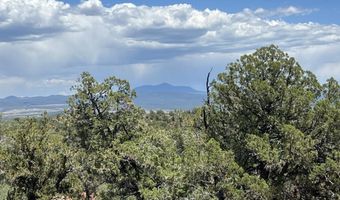 61 Colt Ct Ne4 Rd, Ash Fork, AZ 86320