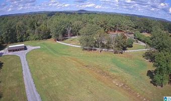 301 MORNINGSIDE Dr, Alexandria, AL 36250