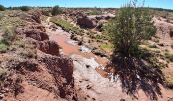 236 N9233 SE, Concho, AZ 85924