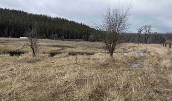 Bare Land Parcel 2, Clarkia, ID 83812