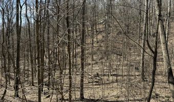 4872 Deer Run Rd, Altamont, TN 37301
