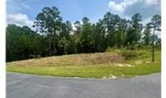 00 LOT 22 Waterside Dr, Abbeville, SC 29620