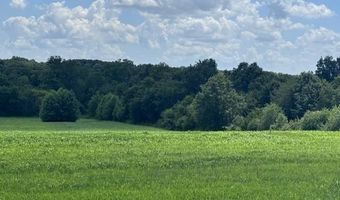 000 175th St, Altamont, MO 64620