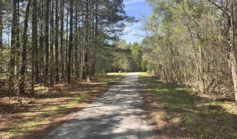 Tract 5 Smith Lane, Bowman, SC 29018