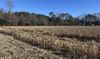 0 Bivalve Lodge Rd, Bivalve, MD 21814