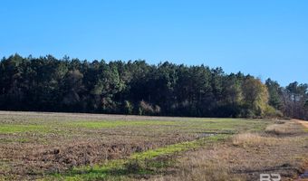 0 Three Mile Rd, Atmore, AL 36502
