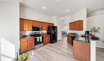 303 Olivia Ln, Anna, TX 75409