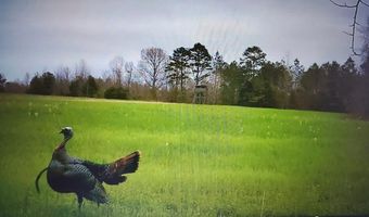 Reeves Road, Ashland, MS 38603
